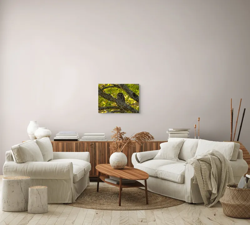 Tablou Canvas, "Bufnița ascunsă în ramuri verzi", Bufniță, Ramuri, Verdeață, Lumină, Camuflaj, Natură, Frunziș, 54 x 39 cm – poza 5