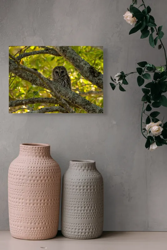 Tablou Canvas, "Bufnița ascunsă în ramuri verzi", Bufniță, Ramuri, Verdeață, Lumină, Camuflaj, Natură, Frunziș, 54 x 39 cm – poza 8