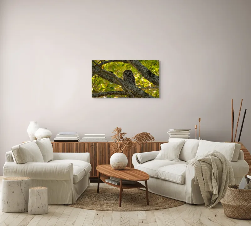 Tablou Canvas, "Bufnița ascunsă în ramuri verzi", Bufniță, Ramuri, Verdeață, Lumină, Camuflaj, Natură, Frunziș, 90 x 50 cm – poza 4