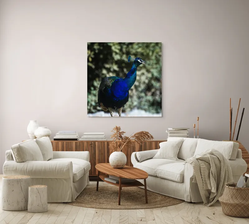 Tablou Canvas Păun Multicolor – Artă Naturală Vibrantă, 100 x 100 cm – poza 3