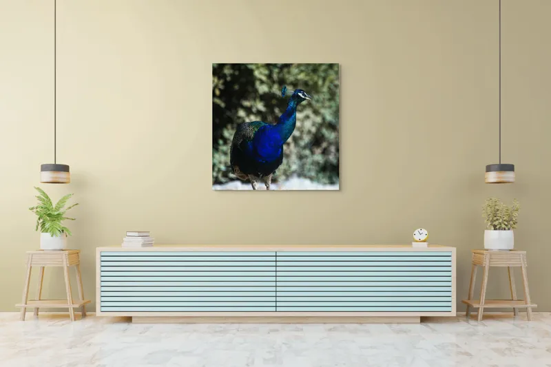 Tablou Canvas Păun Multicolor – Artă Naturală Vibrantă, 100 x 100 cm – poza 5