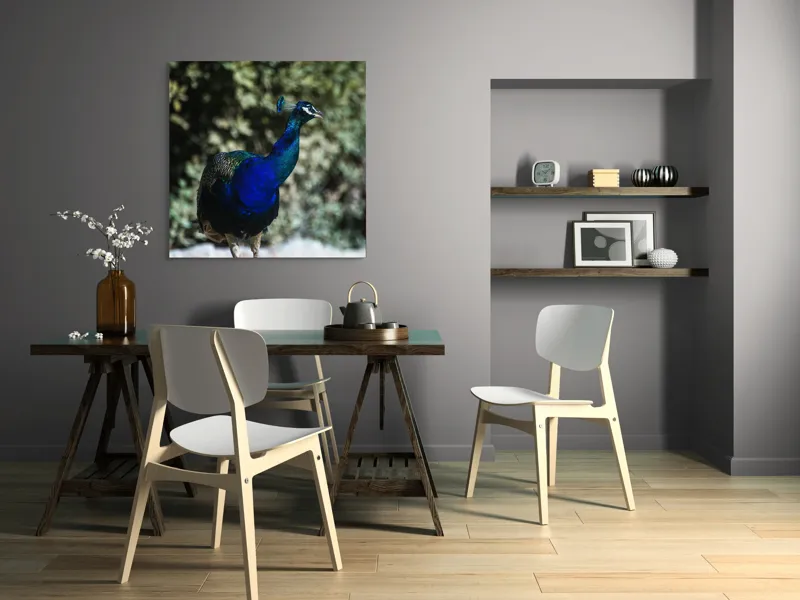 Tablou Canvas Păun Multicolor – Artă Naturală Vibrantă, 100 x 100 cm – poza 6