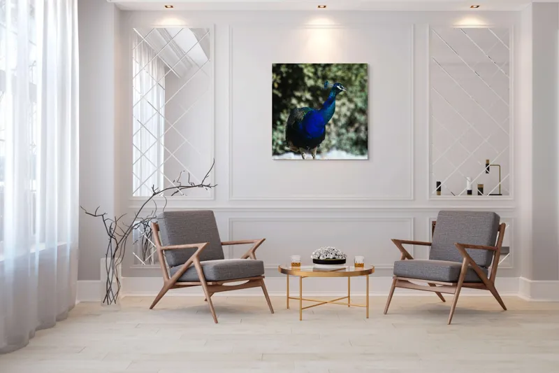 Tablou Canvas Păun Multicolor – Artă Naturală Vibrantă, 100 x 100 cm – poza 7