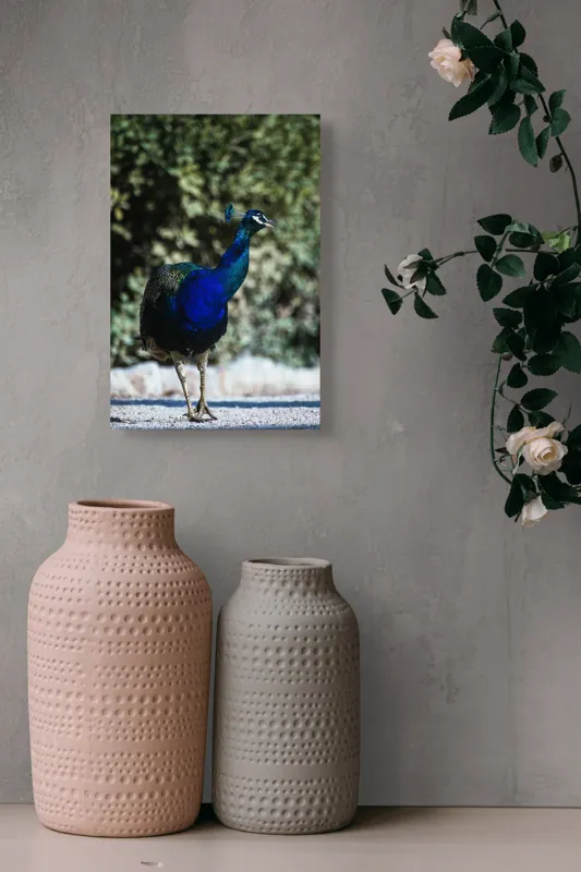 Tablou Canvas Păun Multicolor – Artă Naturală Vibrantă, 26 x 39 cm – poza 6