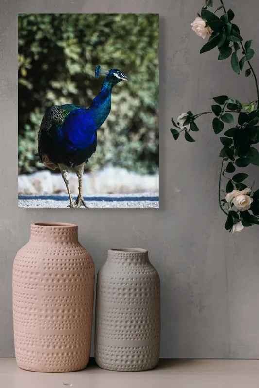Tablou Canvas Păun Multicolor – Artă Naturală Vibrantă, 39 x 54 cm – poza 6