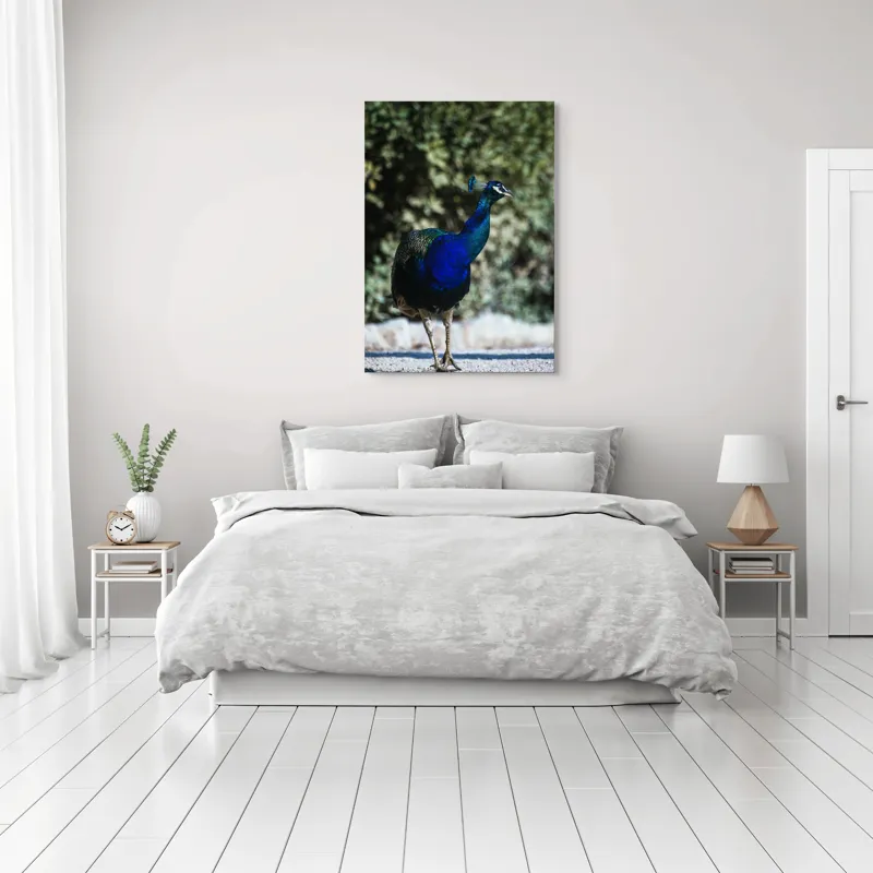 Tablou Canvas Păun Multicolor – Artă Naturală Vibrantă, 70 x 100 cm – poza 3