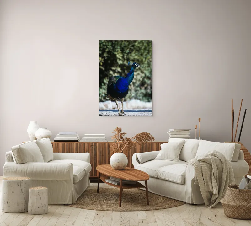 Tablou Canvas Păun Multicolor – Artă Naturală Vibrantă, 70 x 100 cm – poza 4