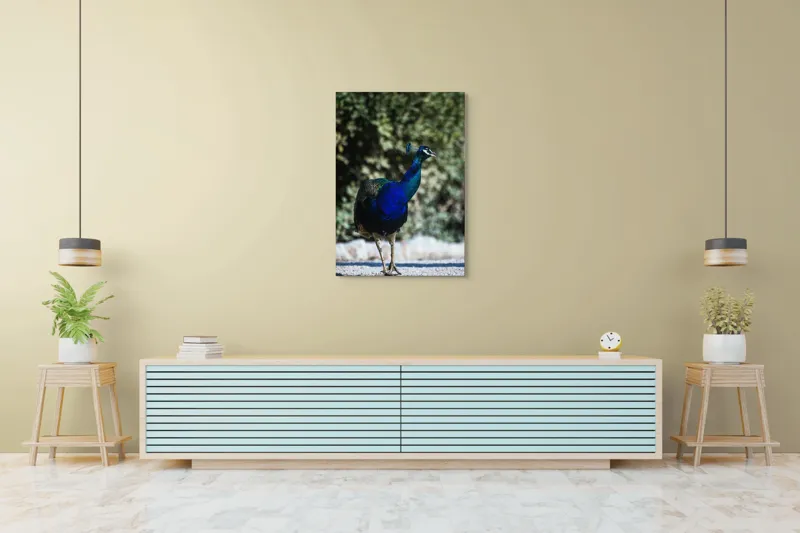 Tablou Canvas Păun Multicolor – Artă Naturală Vibrantă, 70 x 100 cm – poza 5