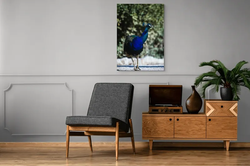 Tablou Canvas Păun Multicolor – Artă Naturală Vibrantă, 70 x 100 cm – poza 6