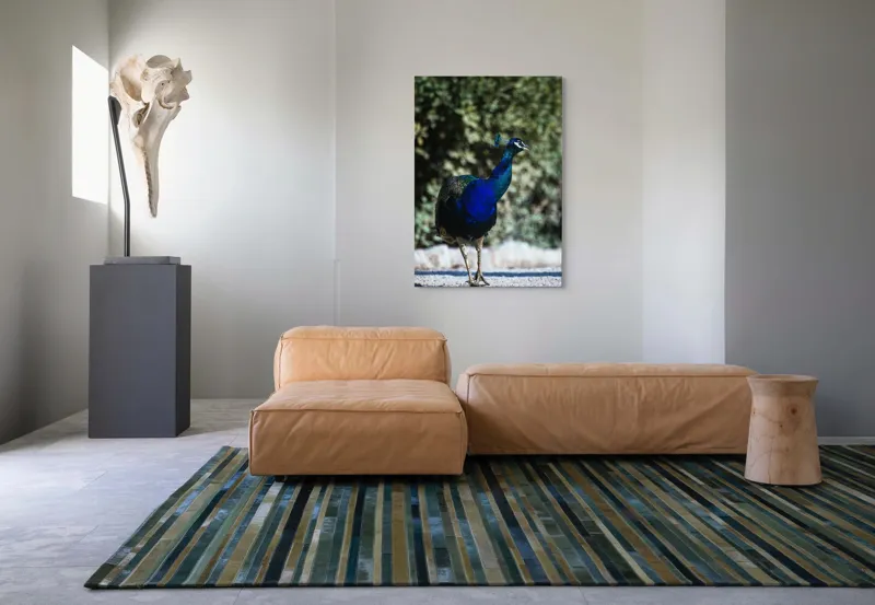 Tablou Canvas Păun Multicolor – Artă Naturală Vibrantă, 70 x 100 cm – poza 7