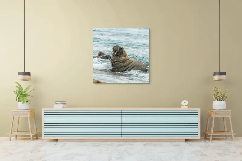 Tablou Canvas Morsa la Malul Oceanului Artă Marină Unică, 100 x 100 cm – poza 5