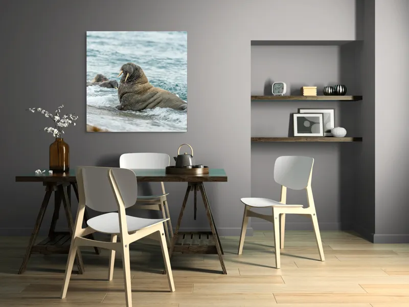 Tablou Canvas Morsa la Malul Oceanului Artă Marină Unică, 100 x 100 cm – poza 6