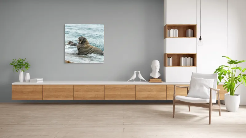 Tablou Canvas Morsa la Malul Oceanului Artă Marină Unică, 100 x 100 cm – poza 8