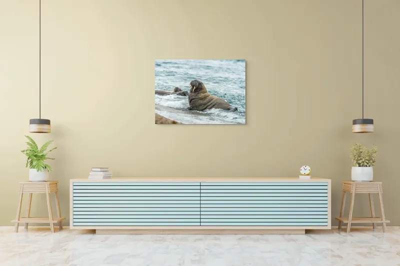 Tablou Canvas Morsa la Malul Oceanului Artă Marină Unică, 100 x 70 cm – poza 4