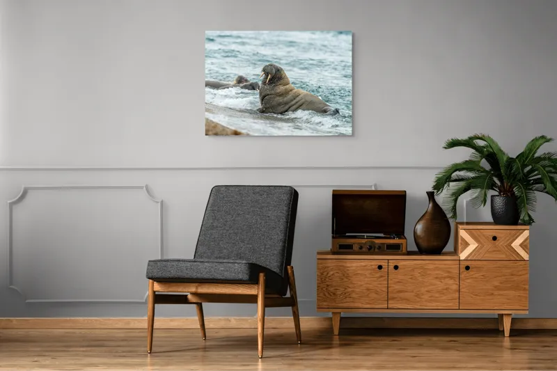 Tablou Canvas Morsa la Malul Oceanului Artă Marină Unică, 100 x 70 cm – poza 8