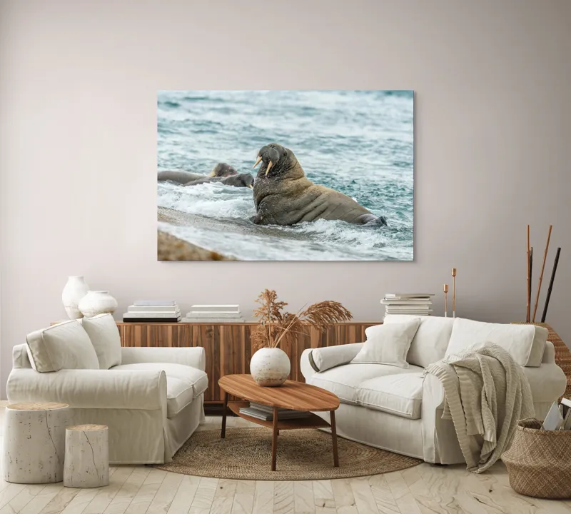 Tablou Canvas Morsa la Malul Oceanului Artă Marină Unică, 150 x 100 cm – poza 3