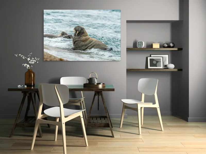 Tablou Canvas Morsa la Malul Oceanului Artă Marină Unică, 150 x 100 cm – poza 5