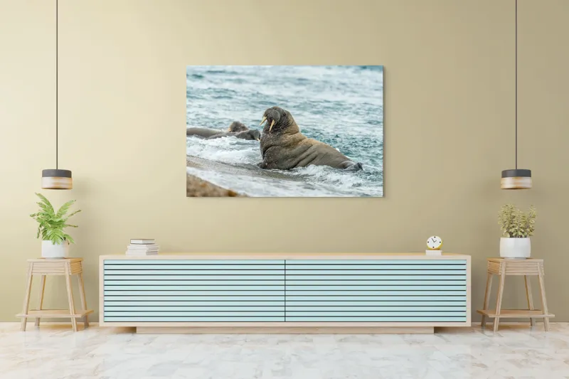 Tablou Canvas Morsa la Malul Oceanului Artă Marină Unică, 150 x 100 cm – poza 6