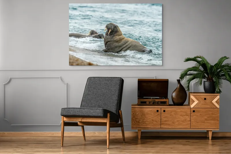 Tablou Canvas Morsa la Malul Oceanului Artă Marină Unică, 150 x 100 cm – poza 8