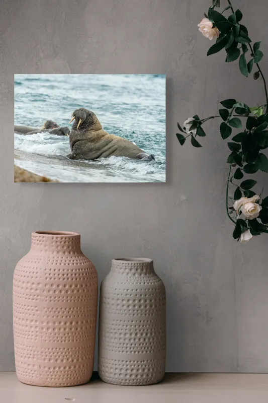 Tablou Canvas Morsa la Malul Oceanului Artă Marină Unică, 54 x 39 cm – poza 8
