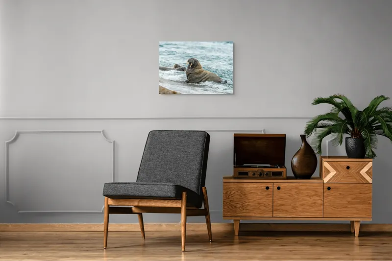 Tablou Canvas Morsa la Malul Oceanului Artă Marină Unică, 70 x 50 cm – poza 4