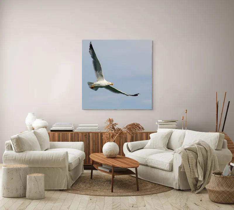Tablou Canvas Zborul liniștit al pescărușului solitar pe cer, 100 x 100 cm – poza 3