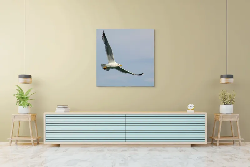 Tablou Canvas Zborul liniștit al pescărușului solitar pe cer, 100 x 100 cm – poza 5