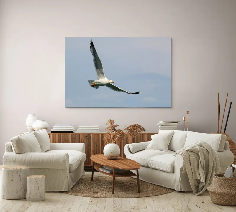 Tablou Canvas Zborul liniștit al pescărușului solitar pe cer, 150 x 100 cm – poza 3