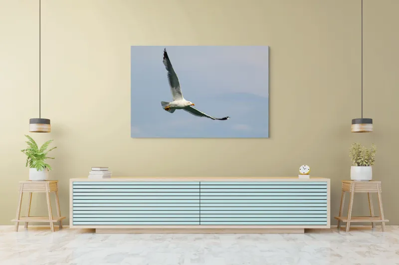 Tablou Canvas Zborul liniștit al pescărușului solitar pe cer, 150 x 100 cm – poza 6