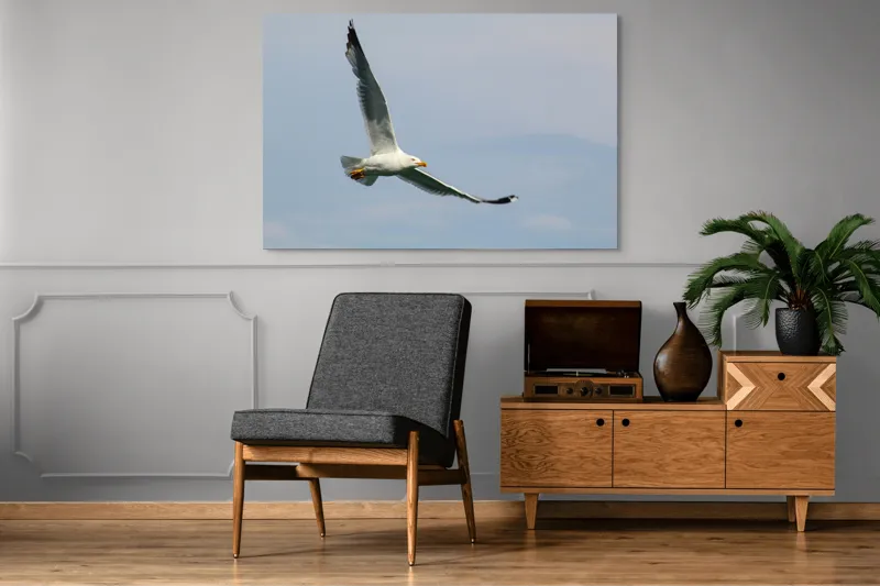 Tablou Canvas Zborul liniștit al pescărușului solitar pe cer, 150 x 100 cm – poza 8