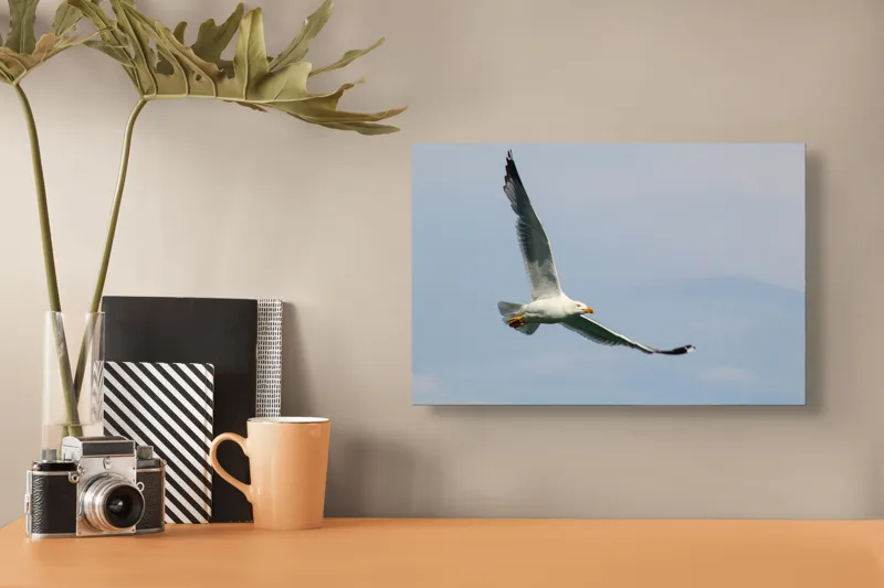 Tablou Canvas Zborul liniștit al pescărușului solitar pe cer, 39 x 26 cm – poza 3