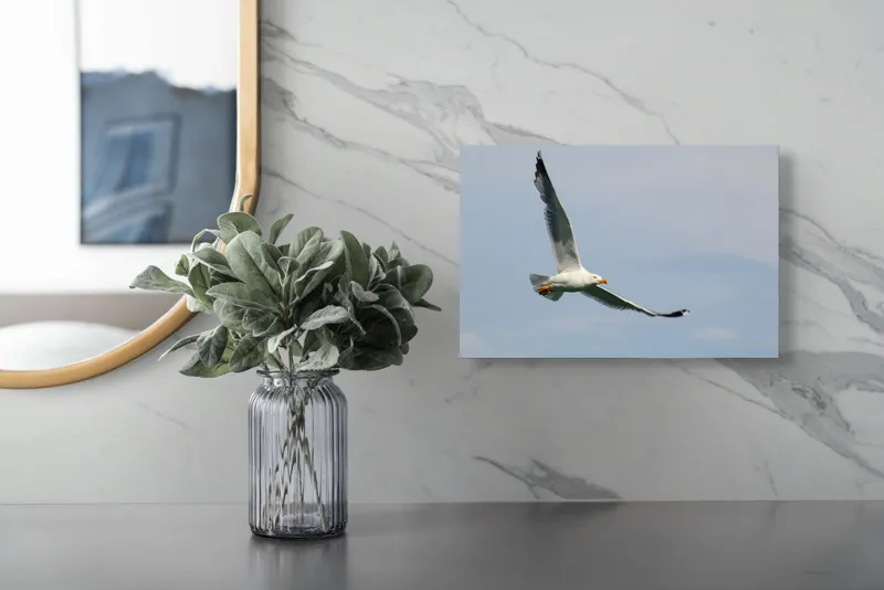 Tablou Canvas Zborul liniștit al pescărușului solitar pe cer, 39 x 26 cm – poza 5