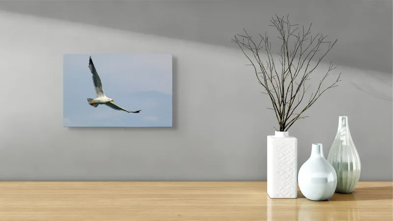 Tablou Canvas Zborul liniștit al pescărușului solitar pe cer, 39 x 26 cm – poza 8