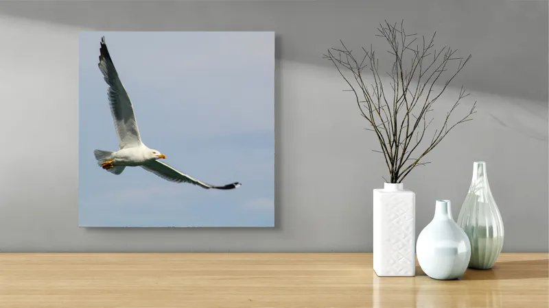 Tablou Canvas Zborul liniștit al pescărușului solitar pe cer, 50 x 50 cm – poza 3