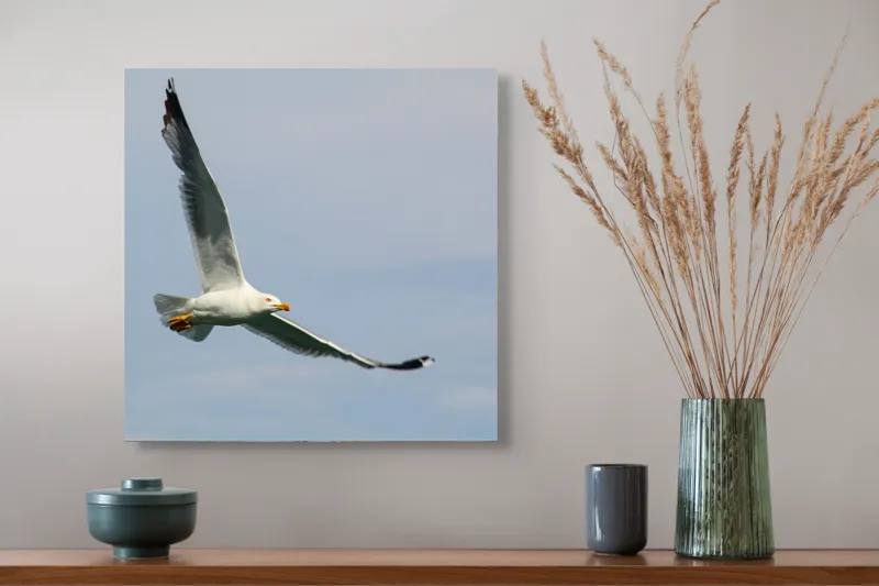 Tablou Canvas Zborul liniștit al pescărușului solitar pe cer, 50 x 50 cm – poza 4