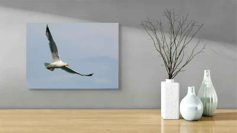 Tablou Canvas Zborul liniștit al pescărușului solitar pe cer, 54 x 39 cm – poza 3