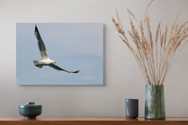 Tablou Canvas Zborul liniștit al pescărușului solitar pe cer, 54 x 39 cm – poza 4
