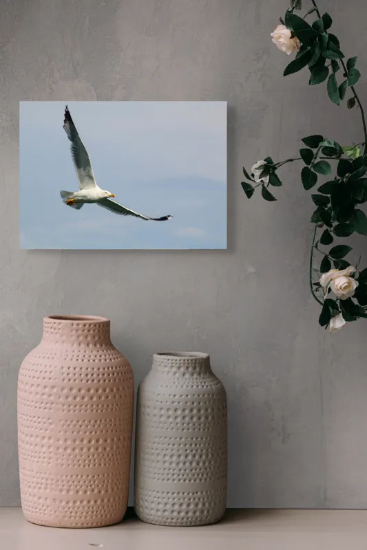 Tablou Canvas Zborul liniștit al pescărușului solitar pe cer, 54 x 39 cm – poza 8