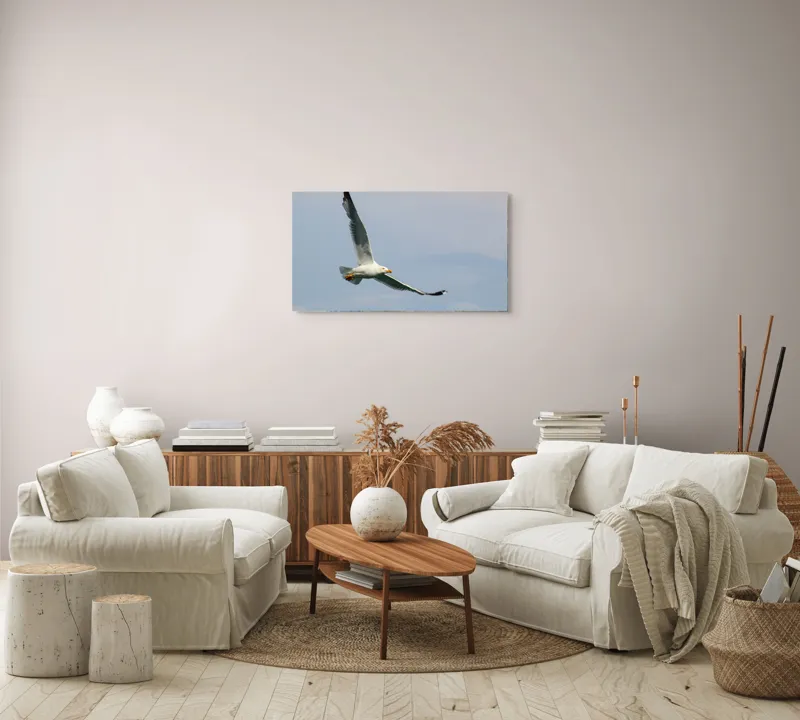 Tablou Canvas Zborul liniștit al pescărușului solitar pe cer, 90 x 50 cm – poza 4