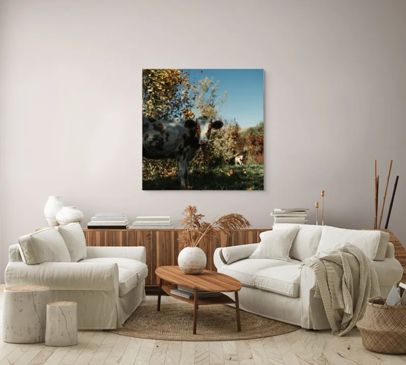 Tablou Canvas, "Vaca în mijlocul naturii toamna", Vacă, Pădure, Toamnă, Copaci, Cer, Iarbă, Frunze, 100 x 100 cm – poza 3