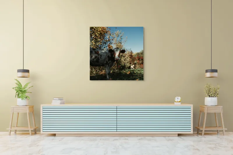 Tablou Canvas, "Vaca în mijlocul naturii toamna", Vacă, Pădure, Toamnă, Copaci, Cer, Iarbă, Frunze, 100 x 100 cm – poza 5