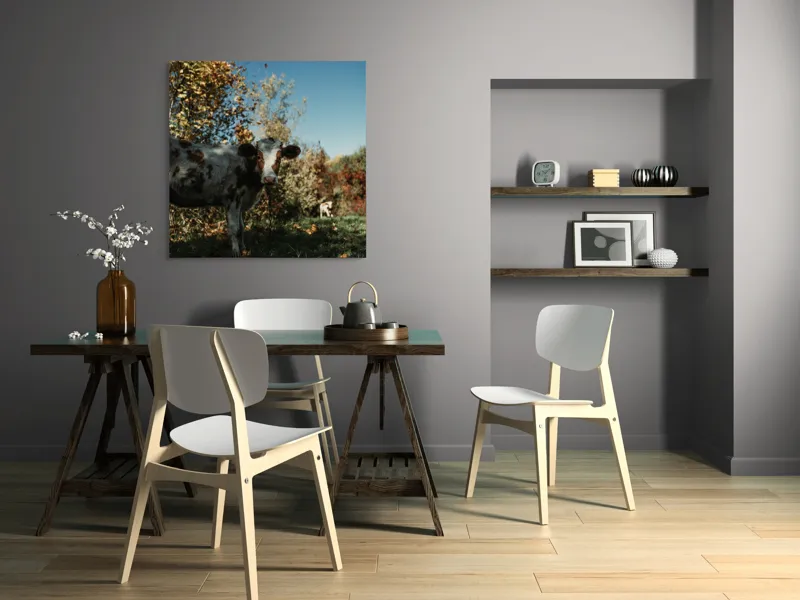 Tablou Canvas, "Vaca în mijlocul naturii toamna", Vacă, Pădure, Toamnă, Copaci, Cer, Iarbă, Frunze, 100 x 100 cm – poza 6