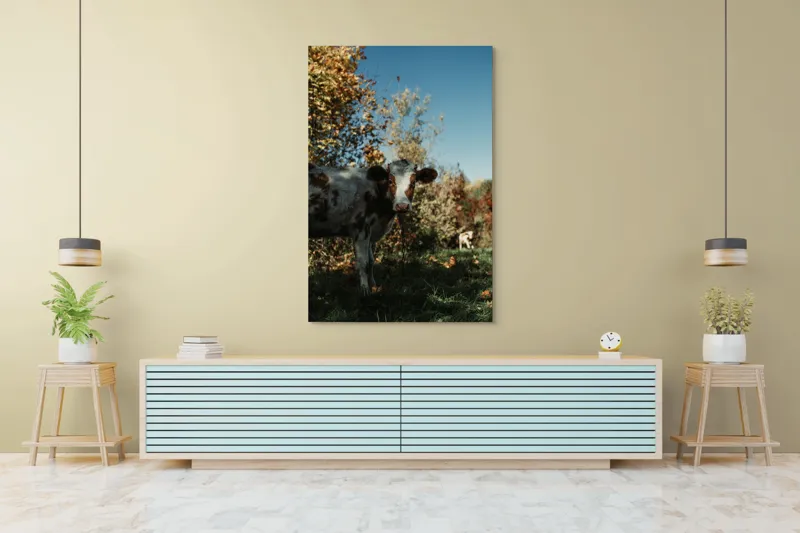 Tablou Canvas, "Vaca în mijlocul naturii toamna", Vacă, Pădure, Toamnă, Copaci, Cer, Iarbă, Frunze, 100 x 150 cm – poza 4