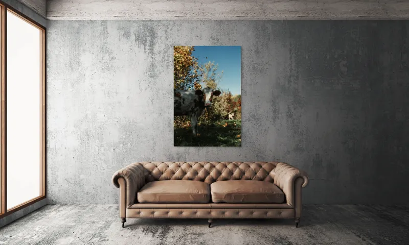 Tablou Canvas, "Vaca în mijlocul naturii toamna", Vacă, Pădure, Toamnă, Copaci, Cer, Iarbă, Frunze, 100 x 150 cm – poza 6