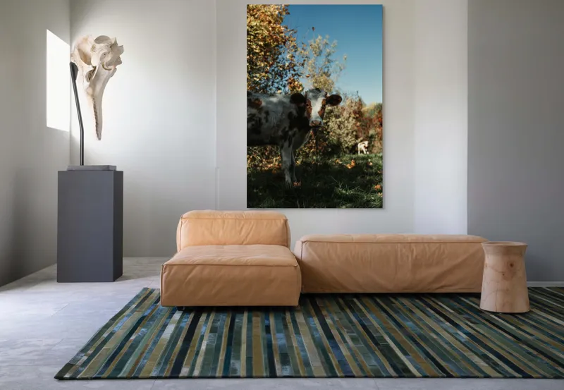 Tablou Canvas, "Vaca în mijlocul naturii toamna", Vacă, Pădure, Toamnă, Copaci, Cer, Iarbă, Frunze, 100 x 150 cm – poza 7