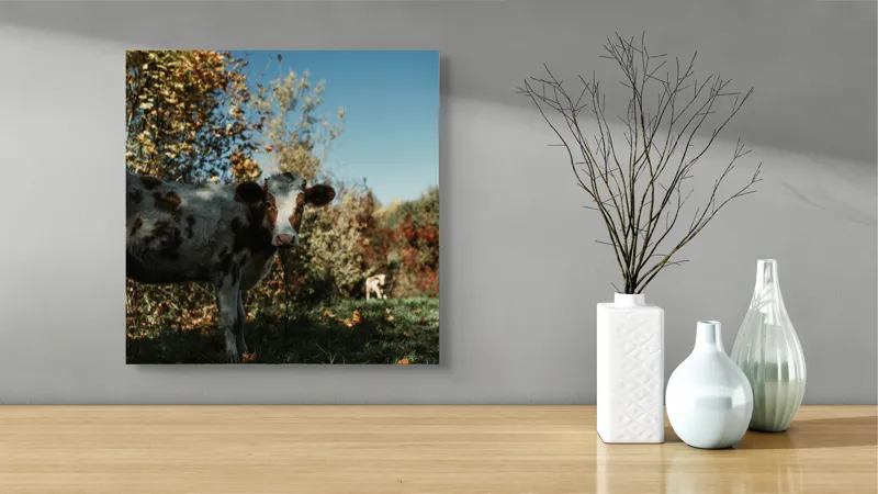 Tablou Canvas, "Vaca în mijlocul naturii toamna", Vacă, Pădure, Toamnă, Copaci, Cer, Iarbă, Frunze, 50 x 50 cm – poza 3
