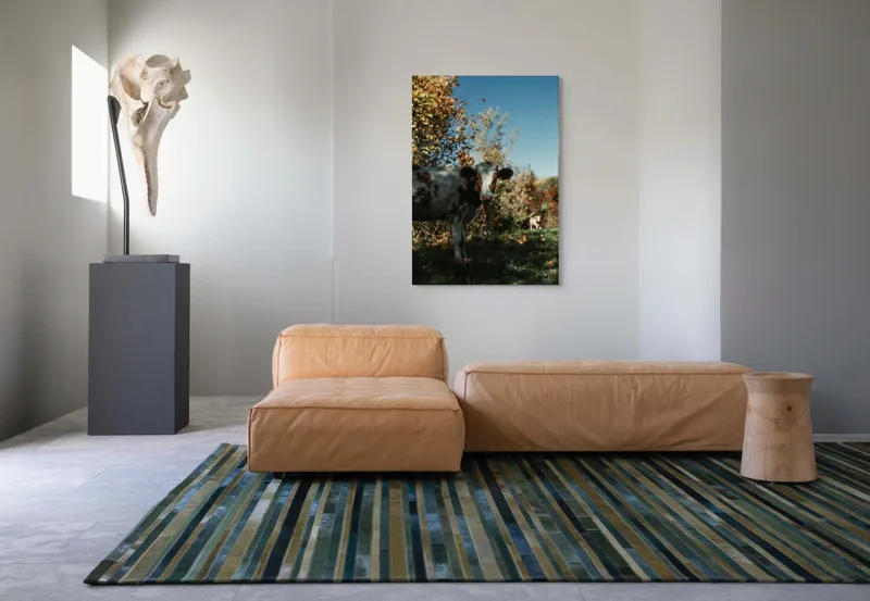 Tablou Canvas, "Vaca în mijlocul naturii toamna", Vacă, Pădure, Toamnă, Copaci, Cer, Iarbă, Frunze, 70 x 100 cm – poza 7