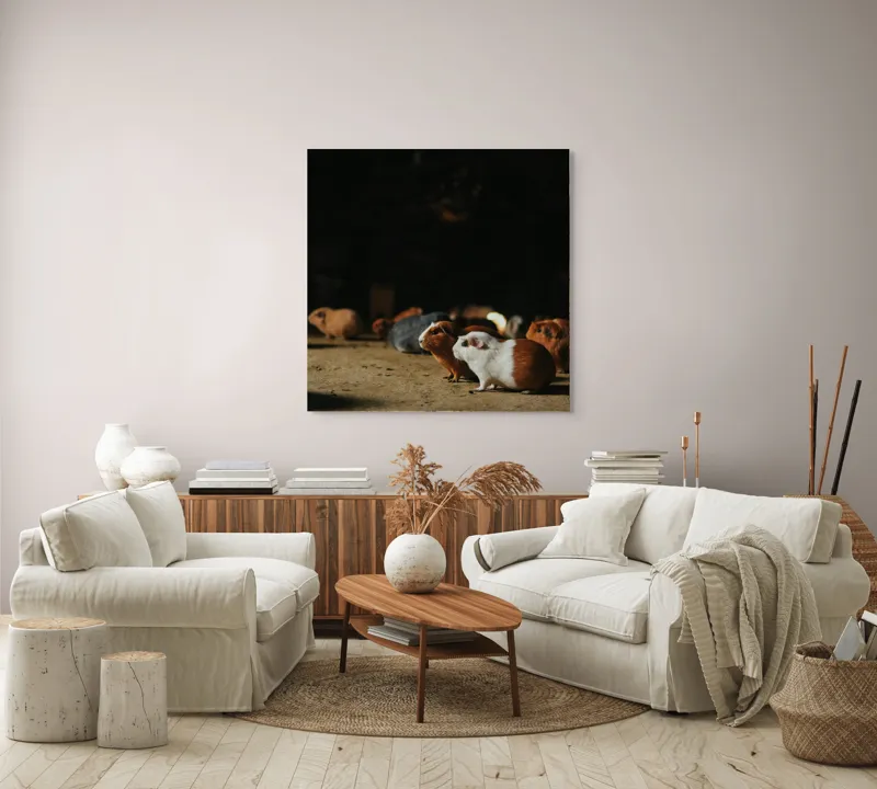 Tablou Canvas, "Nu știu cine sunt.", Scurte, Blănoase, Curioase, Drăgălașe, Sociabile, Agitate, Jucăușe, Apetisante, 100 x 100 cm – poza 3