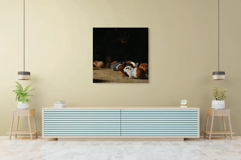 Tablou Canvas, "Nu știu cine sunt.", Scurte, Blănoase, Curioase, Drăgălașe, Sociabile, Agitate, Jucăușe, Apetisante, 100 x 100 cm – poza 5
