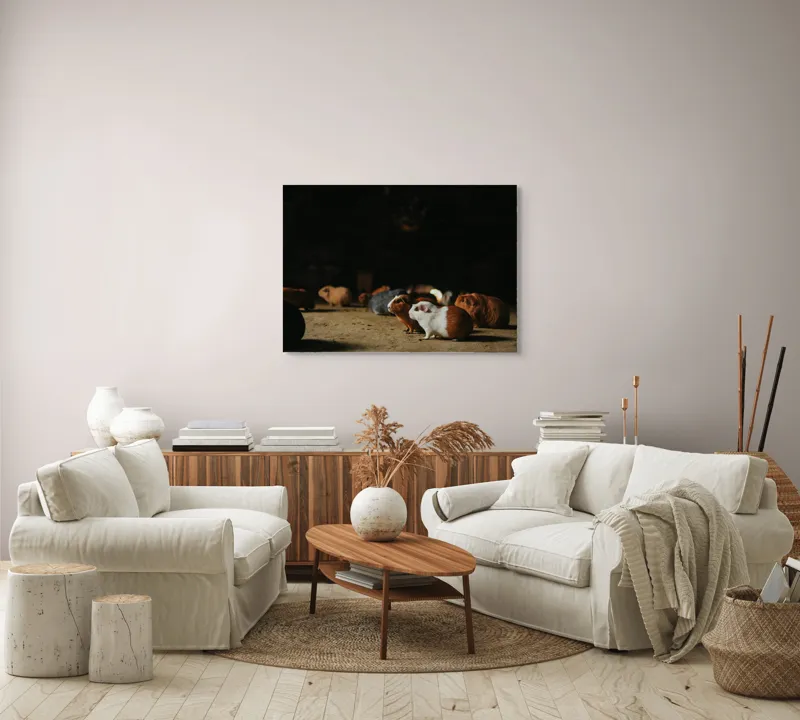 Tablou Canvas, "Nu știu cine sunt.", Scurte, Blănoase, Curioase, Drăgălașe, Sociabile, Agitate, Jucăușe, Apetisante, 100 x 70 cm – poza 3